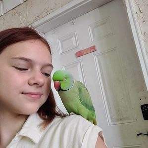 Meet your Posher, Annamarie